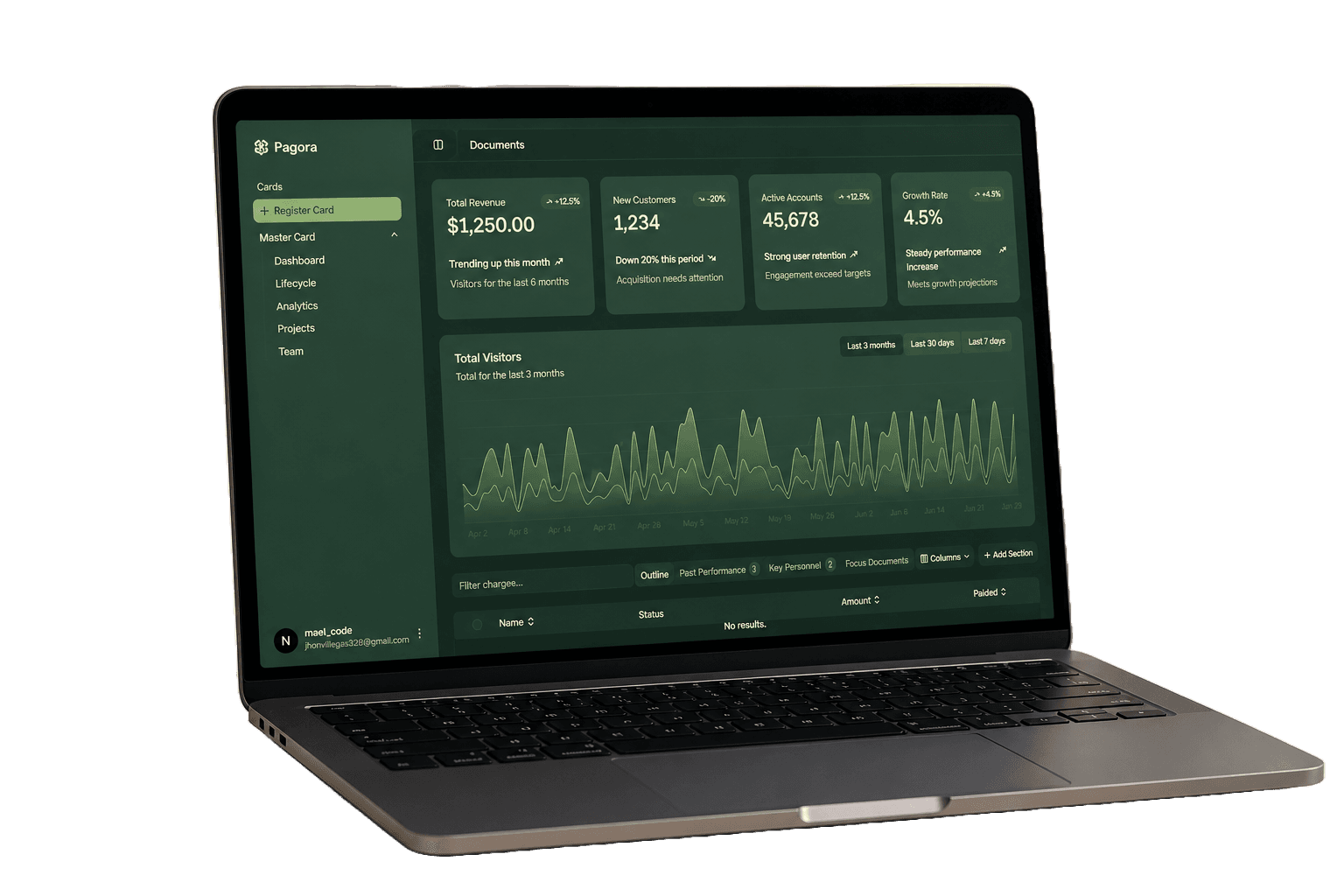 Vista previa del dashboard de Pagora